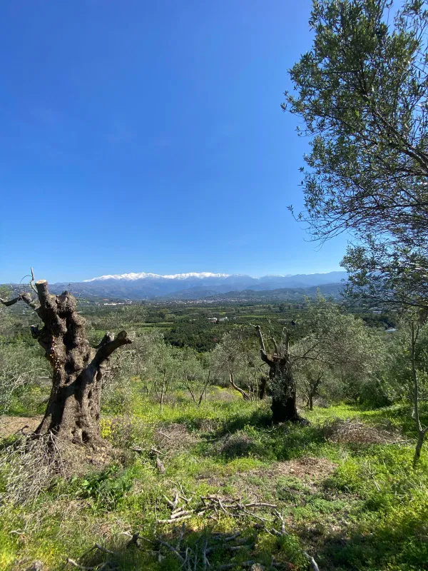 1,200 m² Plot of Land for Sale in Alikianos, Platanias — photo 2