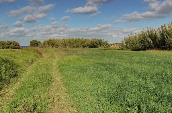 1,000 m² Plot for Sale in Maleme, Platanias — photo 4