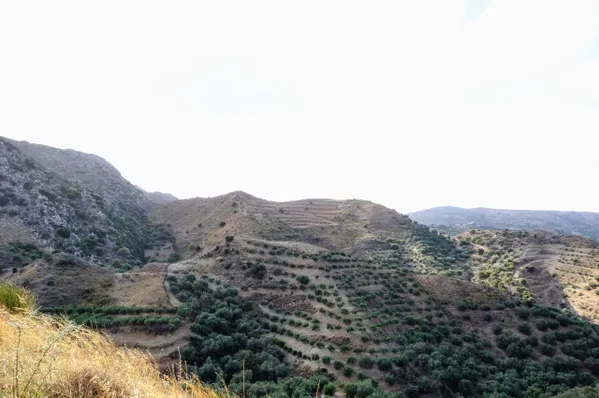 4,918 m² Plot for Sale in Polyrinnia, Kissamos — photo 5