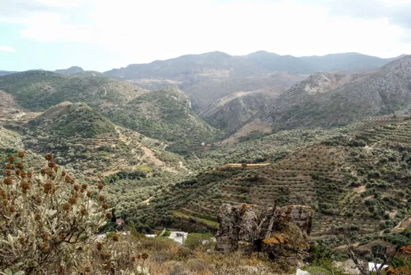 4,918 m² Plot for Sale in Polyrinnia, Kissamos — photo 3