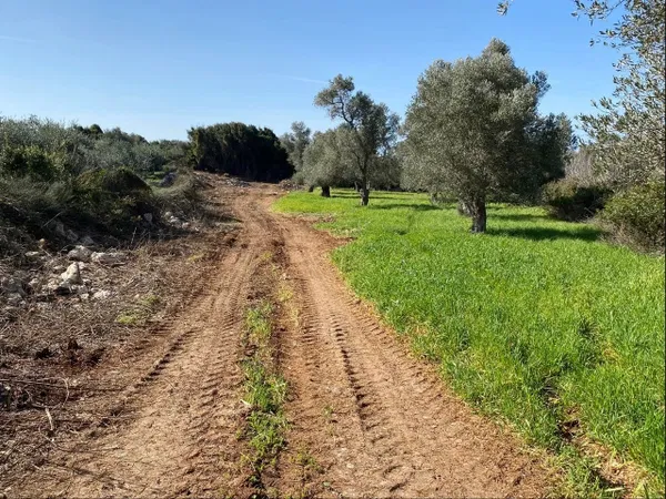 18,563 m² Land for Sale in Rethymnon — photo 2