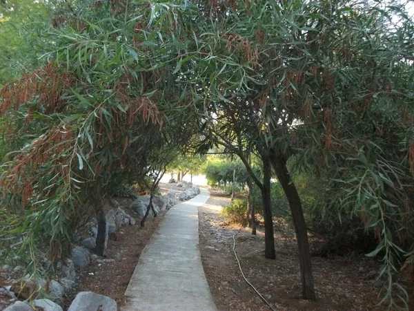 Villa for Sale in Peloponnese — photo 5