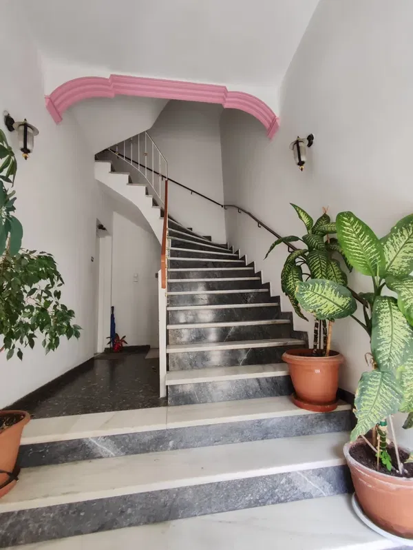 251 m² Building for Sale in Dafni, Athens Southern suburbs — photo 3