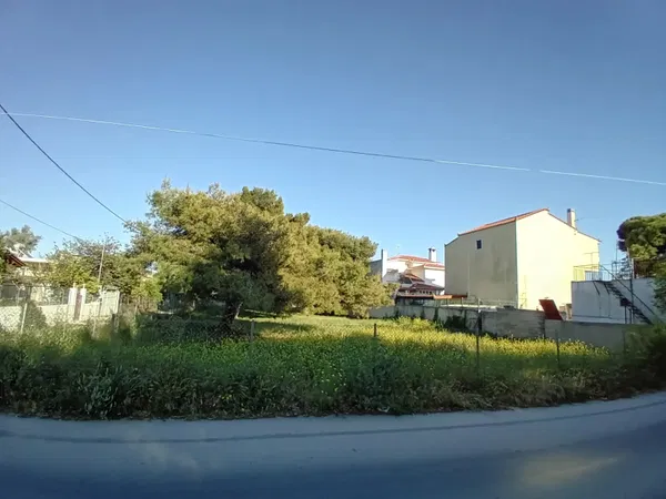 1,200 m² Plot for Sale in Artemida, Athens Eastern Suburbs — photo 2