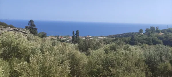 Sea-View 368 m² Plot for Sale in Ikaria, Eastern Aegean — photo 2