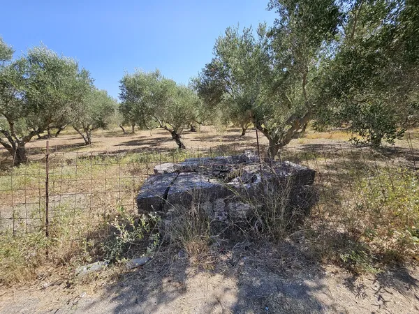 4,152 m² Plot for Sale in Vryses, Apokoronas — photo 3