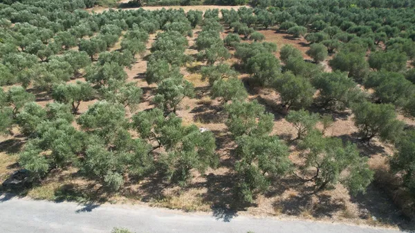 4,152 m² Plot for Sale in Vryses, Apokoronas — photo 4