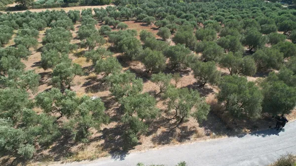 4,152 m² Plot for Sale in Vryses, Apokoronas — photo 5