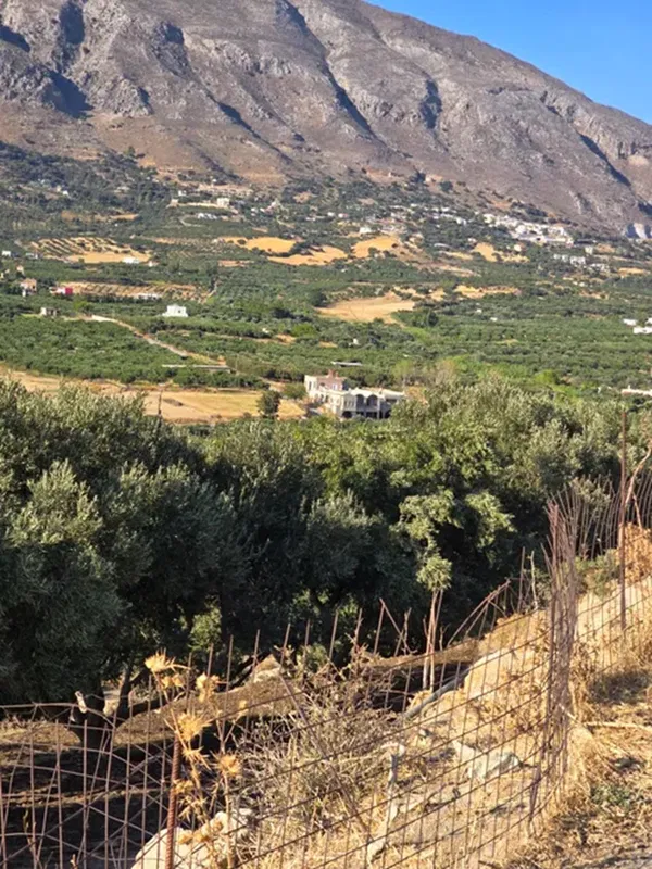 10,150 m² Land for Sale in Lefkogia, Agios Vassilios — photo 5