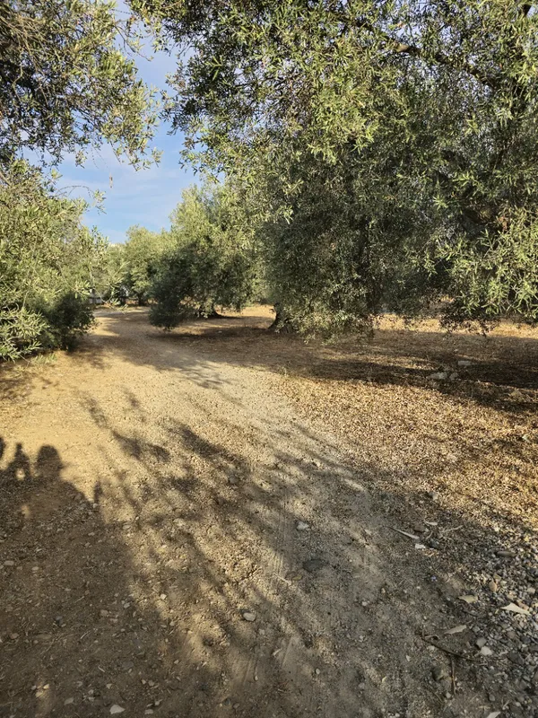3,643 m² Plot of Land for Sale in Koumpes, Chania