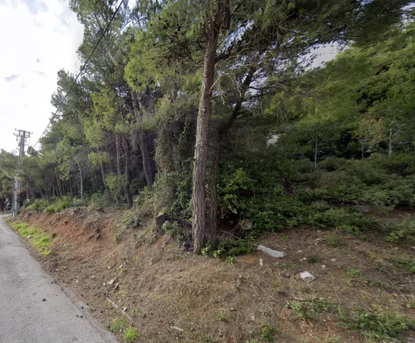 1,005 m² Plot for Sale in Thrakomakedones, Athens Northern suburbs — photo 2