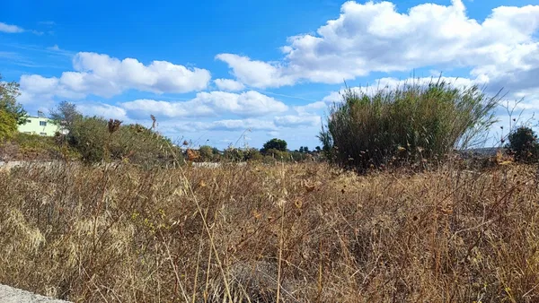 7,150 m² Land for Sale in Pikermi, Rafina - Pikermi — photo 3
