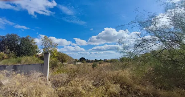 7,150 m² Land for Sale in Pikermi, Rafina - Pikermi