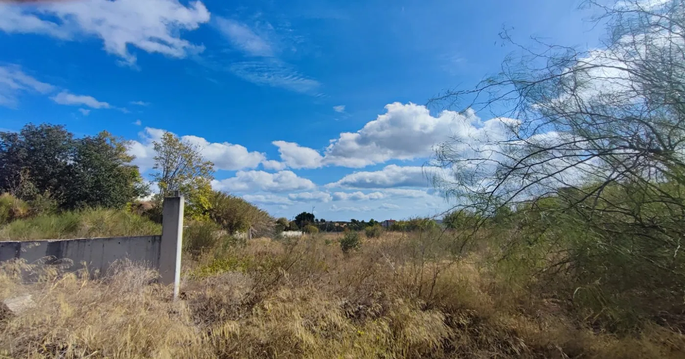 7,150 m² Land for Sale in Pikermi, Rafina - Pikermi