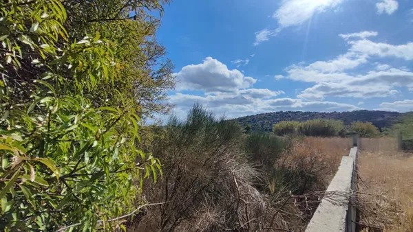 7,150 m² Land for Sale in Pikermi, Rafina - Pikermi — photo 4