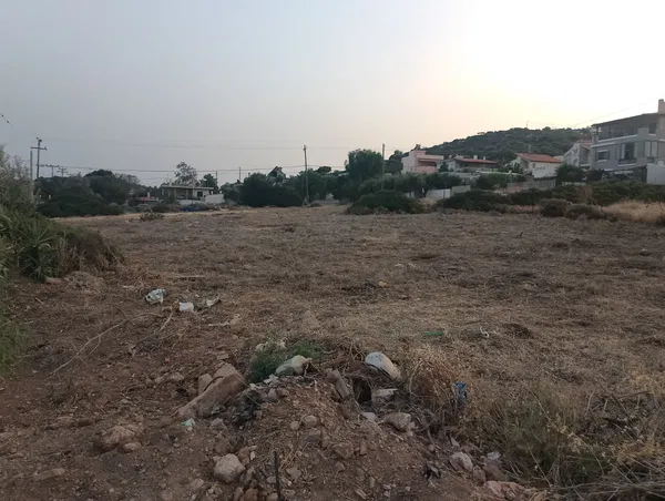 2,480 m² Land for Sale in Artemida, Athens Eastern Suburbs — photo 2