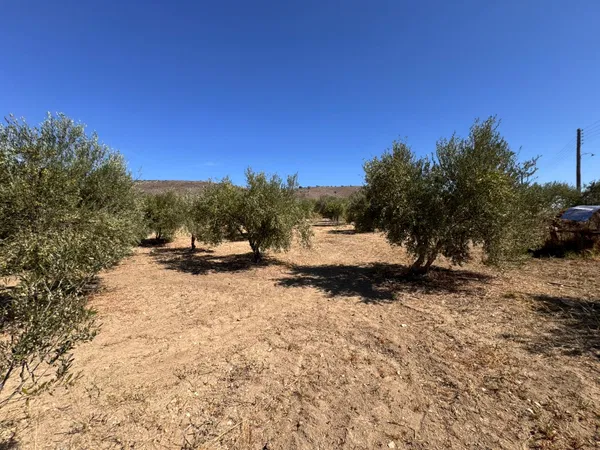2,262 m² Land for Sale in Exopolis, Apokoronas — photo 2