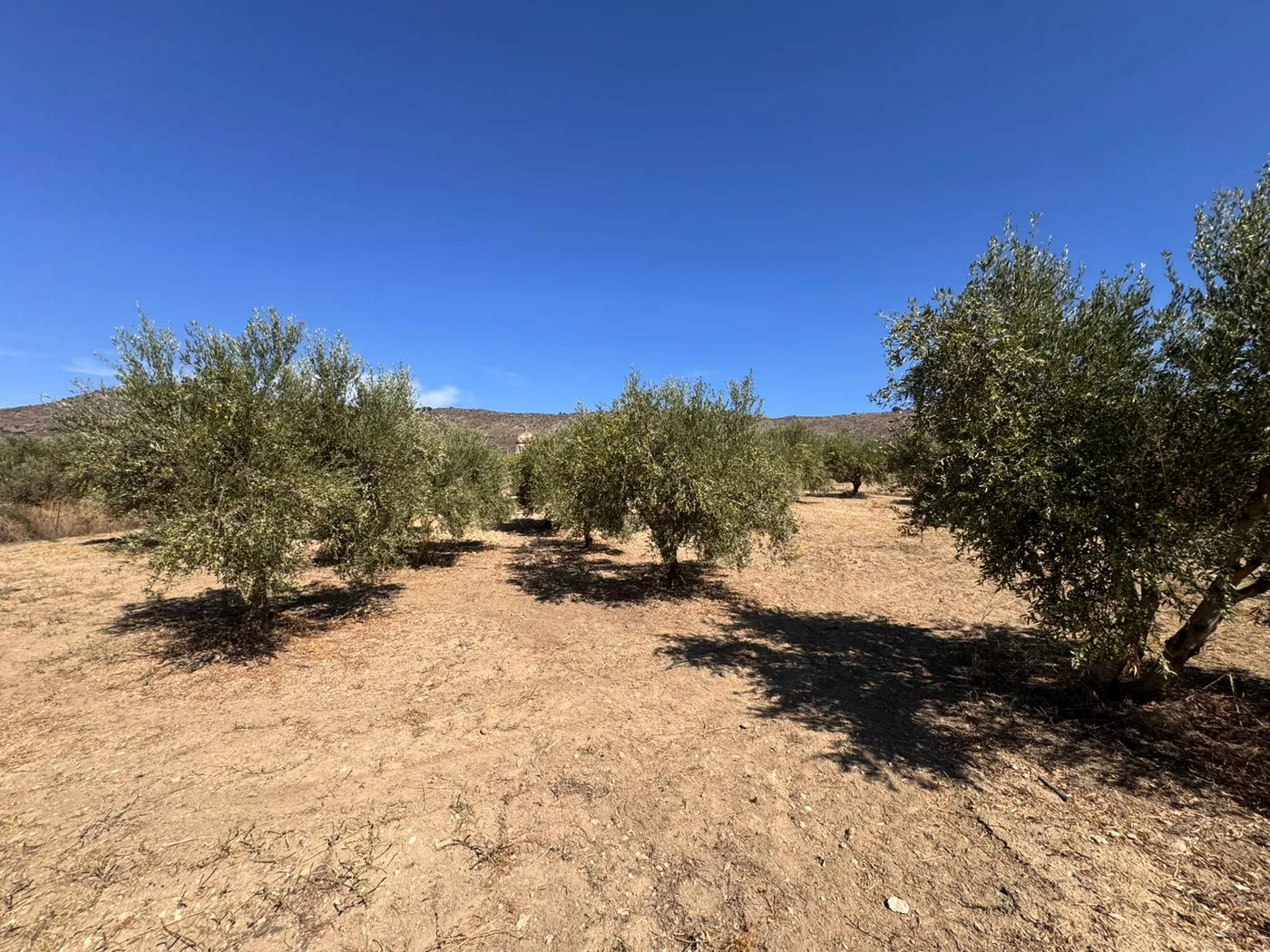 2,262 m² Land for Sale in Exopolis, Apokoronas