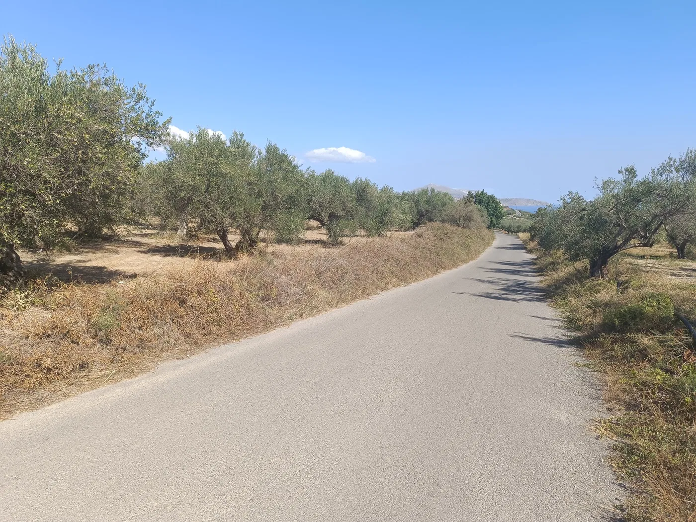 Seafront 7,024 m² Plot for Sale in Tsivaras, Apokoronas