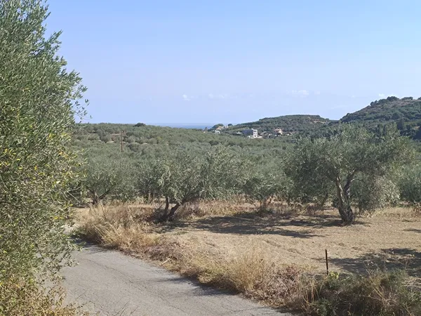 Seafront 7,024 m² Plot for Sale in Tsivaras, Apokoronas — photo 2