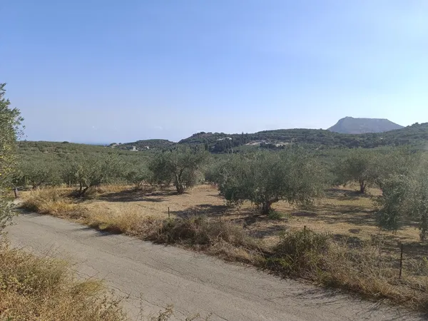 Seafront 7,024 m² Plot for Sale in Tsivaras, Apokoronas — photo 3