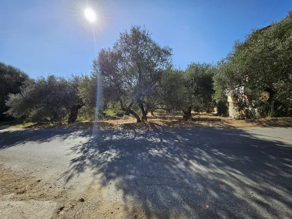 2,227 m² Plot for Sale in Makris toixos, Chania — photo 3