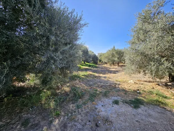 2,227 m² Plot for Sale in Makris toixos, Chania — photo 5
