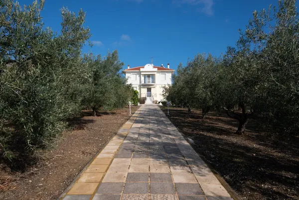 Four-Bedroom Sea-View Villa for Sale in Kassandra, Halkidiki — photo 3