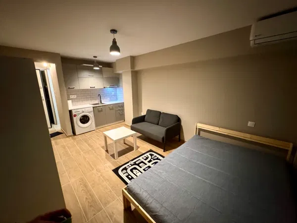 21 m² One-Bedroom Renovated Apartment for Sale in Piraeus, Piraeus Suburbs