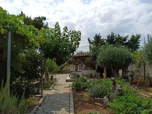 Renovated Three-Bedroom Villa for Sale in Koropi, Athens Eastern Suburbs — photo 5