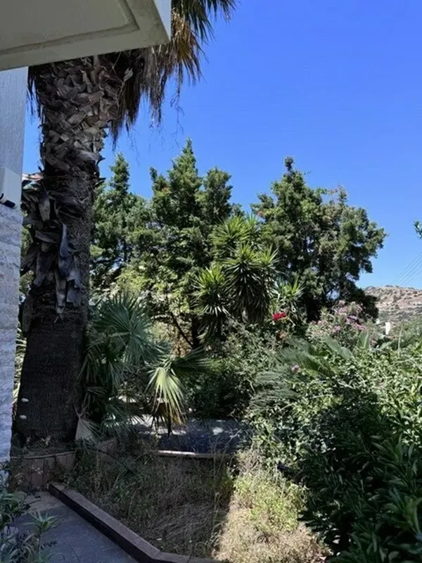 Three-Bedroom Villa for Sale in Lagonisi, Attica — photo 5