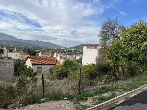 237 m² Plot for Sale in Spata, Athens Eastern Suburbs — photo 3