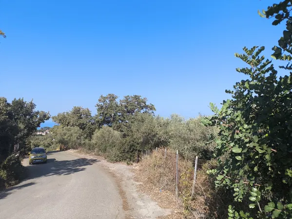 5,800 m² Plot of Land for Sale in Prines, Rethymnon — photo 4