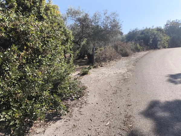 5,800 m² Plot of Land for Sale in Prines, Rethymnon — photo 2