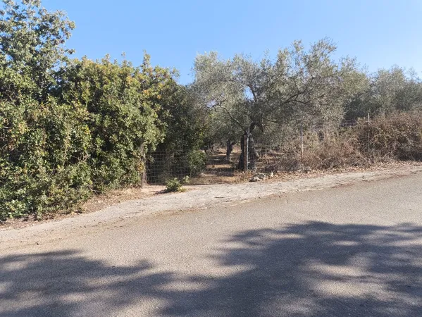 5,800 m² Plot of Land for Sale in Prines, Rethymnon