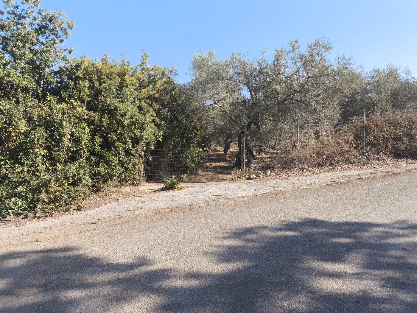 5,800 m² Plot of Land for Sale in Prines, Rethymnon