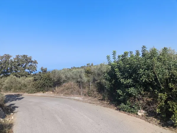 5,800 m² Plot of Land for Sale in Prines, Rethymnon — photo 5