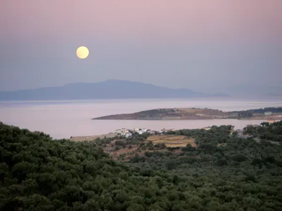 250 m² Renovated Three-Bedroom Villa for Sale in Lesvos, Eastern Aegean — photo 5