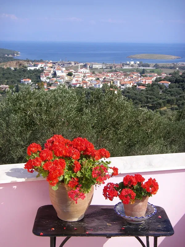 250 m² Renovated Three-Bedroom Villa for Sale in Lesvos, Eastern Aegean