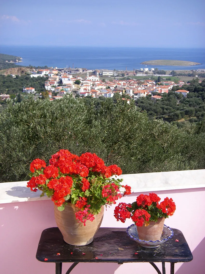 250 m² Renovated Three-Bedroom Villa for Sale in Lesvos, Eastern Aegean