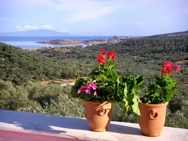 250 m² Renovated Three-Bedroom Villa for Sale in Lesvos, Eastern Aegean — photo 2