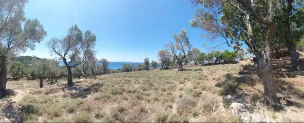 Sea-View 4,400 m² Plot for Sale in Lesvos, Eastern Aegean
