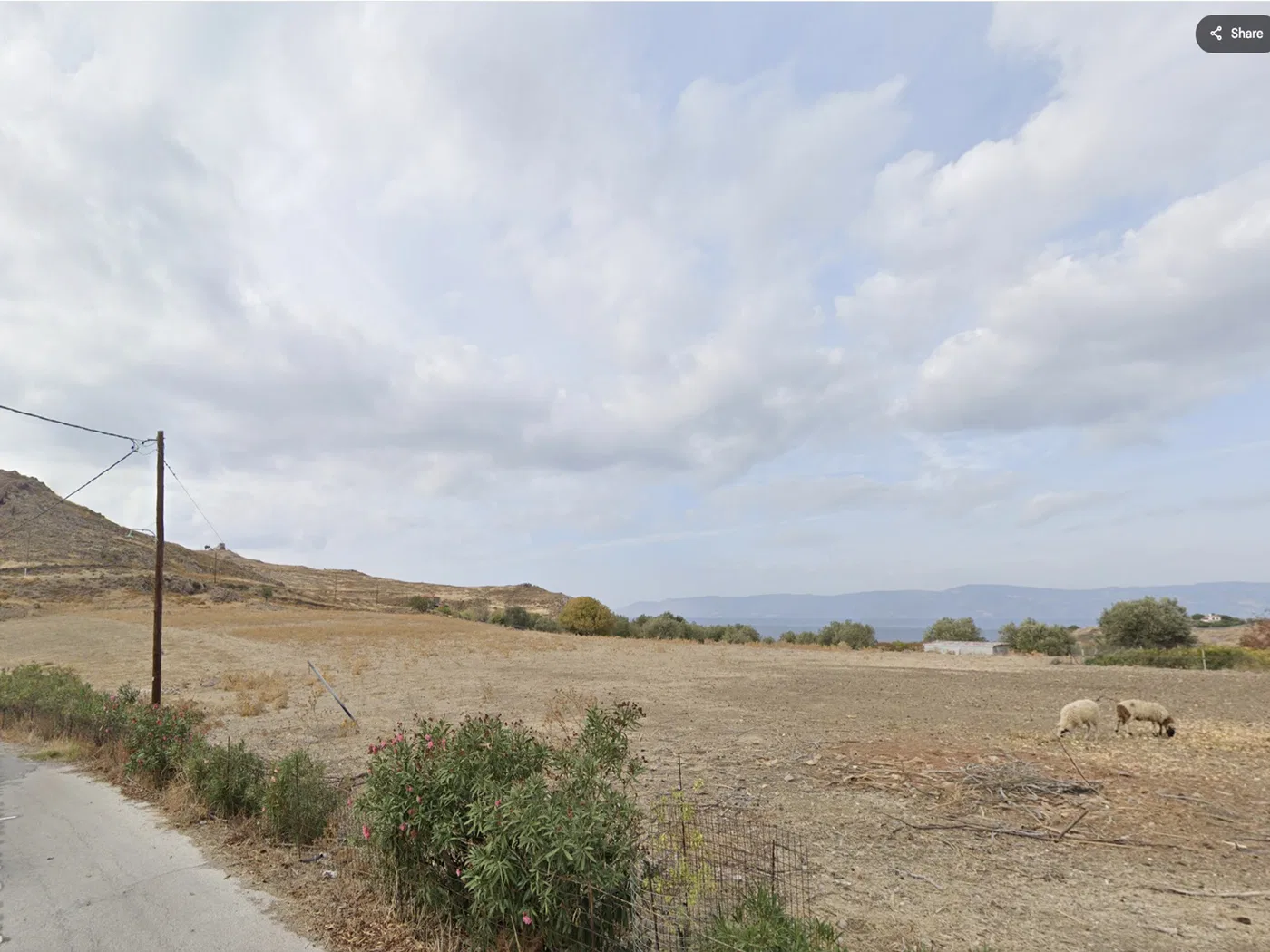 9,623 m² Land for Sale in Lesvos, Eastern Aegean