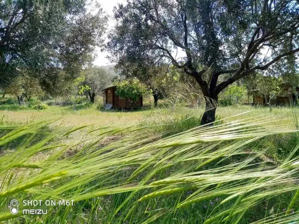 Three-Bedroom Sea View Villa for Sale in Lesvos, Eastern Aegean — photo 4