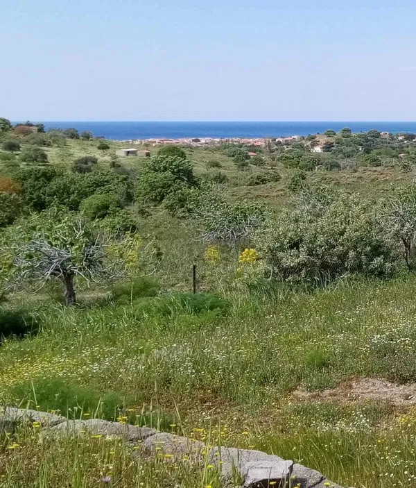 Three-Bedroom Sea View Villa for Sale in Lesvos, Eastern Aegean — photo 3