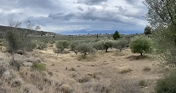 10,500 m² Land for Sale in Fokida, Sterea Hellas