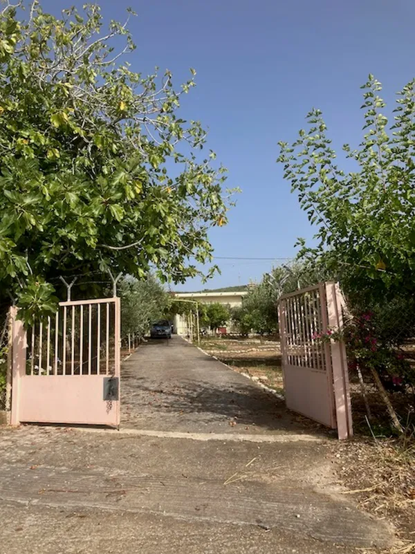 Two-Bedroom Villa for Sale in Messinia, Peloponnese — photo 2