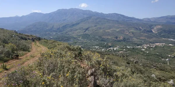 13,500 m² Plot for Sale in Likotinara, Apokoronas — photo 3