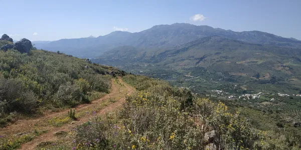 13,500 m² Plot for Sale in Likotinara, Apokoronas — photo 2