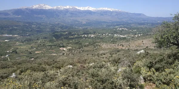 13,500 m² Plot for Sale in Likotinara, Apokoronas — photo 5